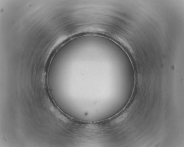 X0000089421029200707061313