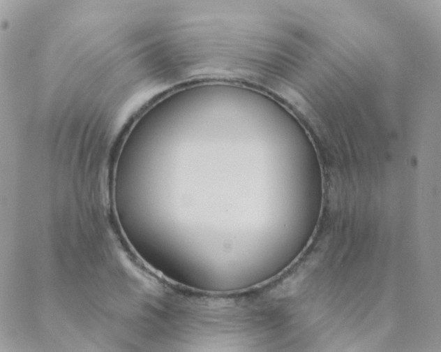 X0000089421030200707061313