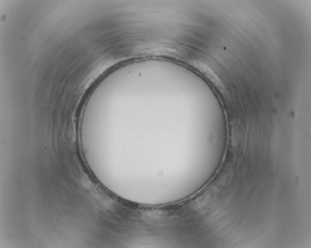 X0000089421031200707061314