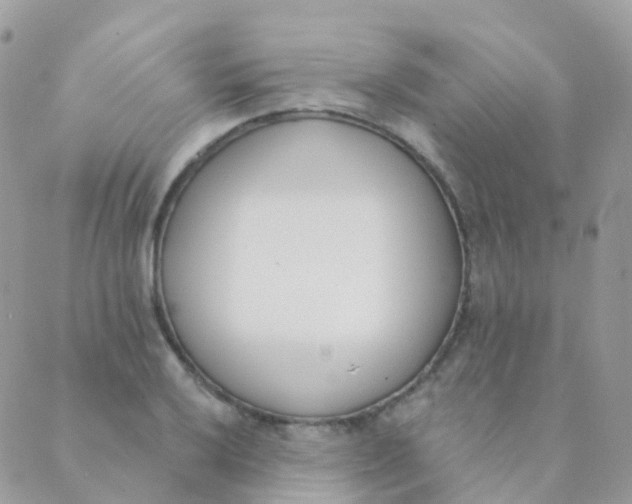 X0000089421032200707061314