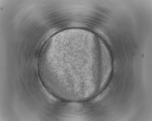 X0000089421033200707061314