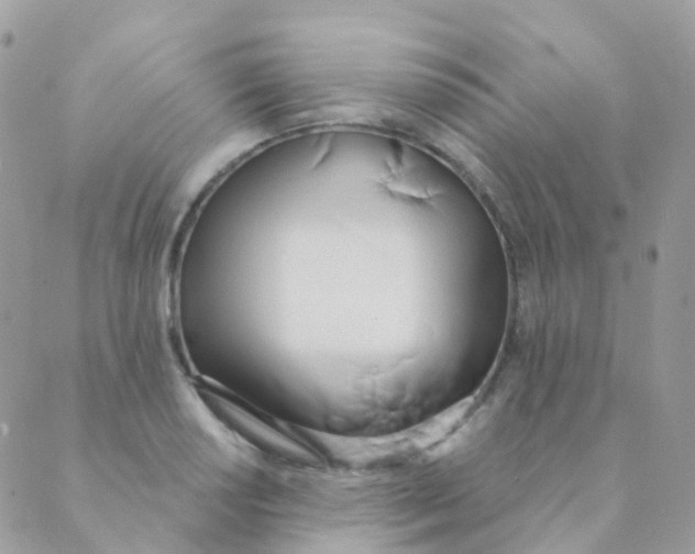 X0000089421034200707061314