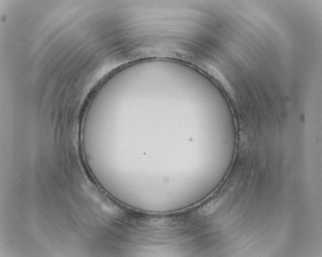 X0000089421035200707061314