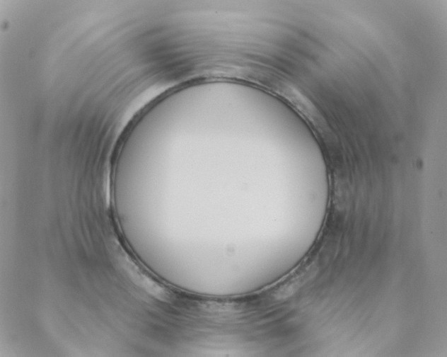 X0000089421036200707061314