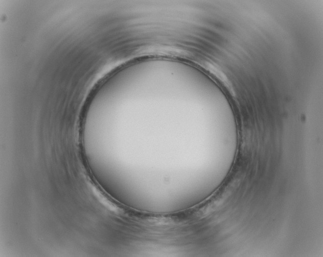 X0000089421037200707061314