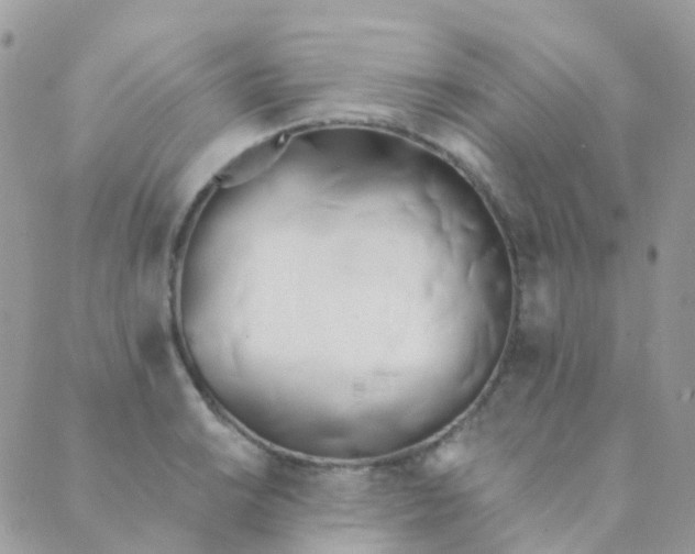 X0000089421038200707061314