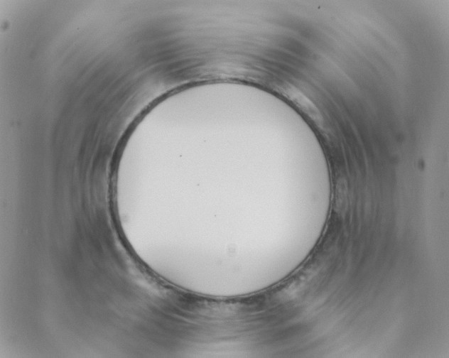 X0000089421039200707061314