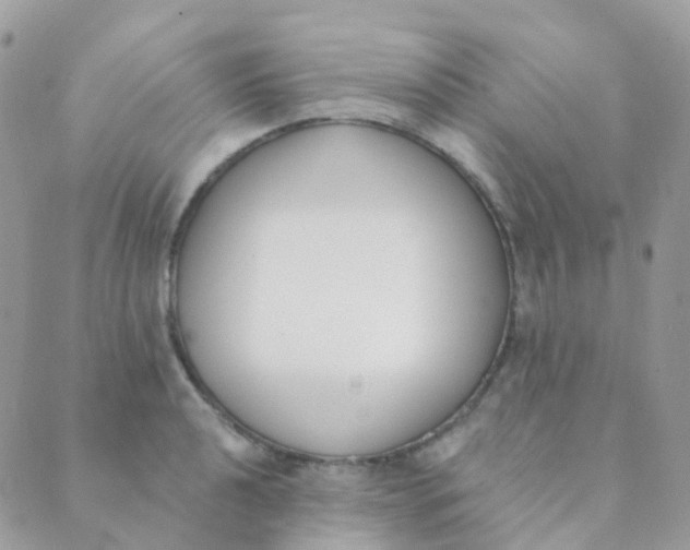 X0000089421040200707061314