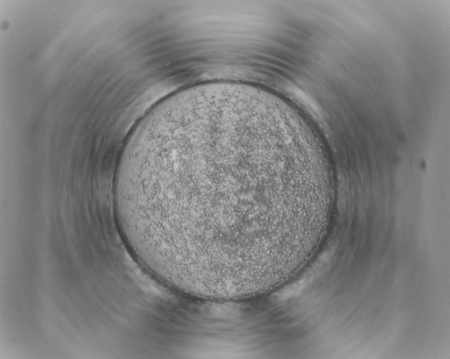 X0000089421041200707061314