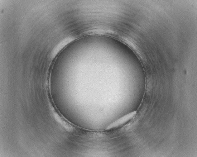 X0000089421042200707061314