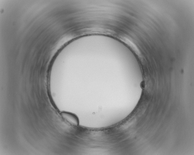 X0000089421043200707061314