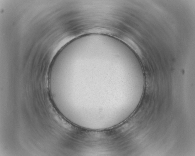 X0000089421044200707061314