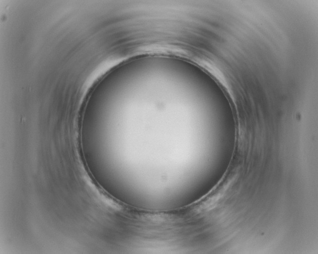 X0000089421045200707061314