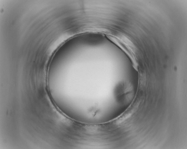 X0000089421046200707061314