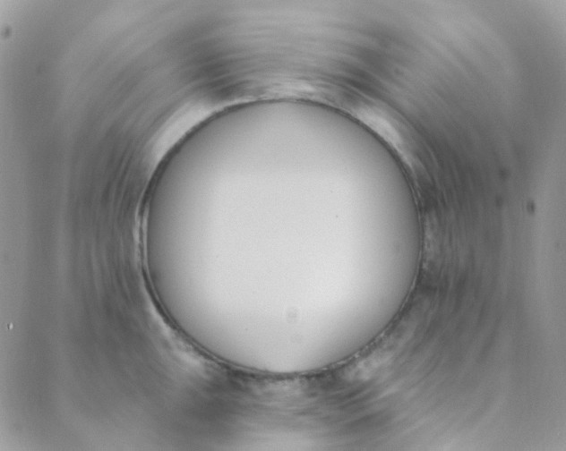 X0000089421047200707061314