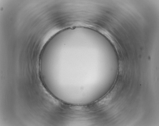 X0000089421048200707061314