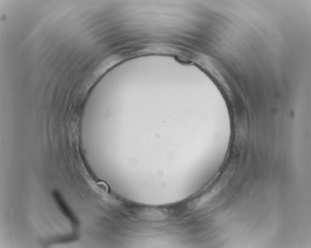 X0000089421049200707061314