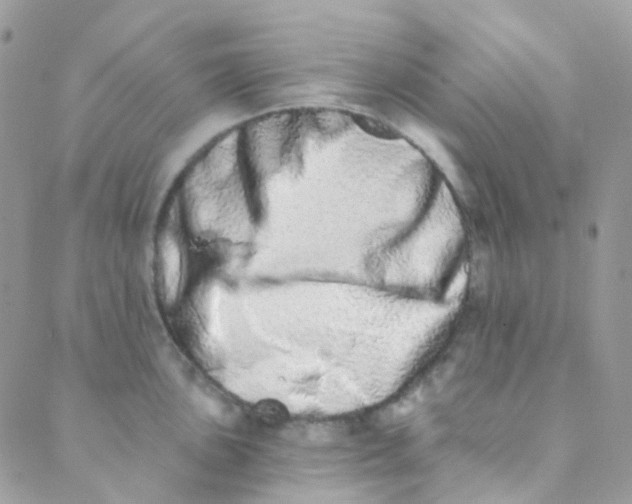 X0000089421051200707061314