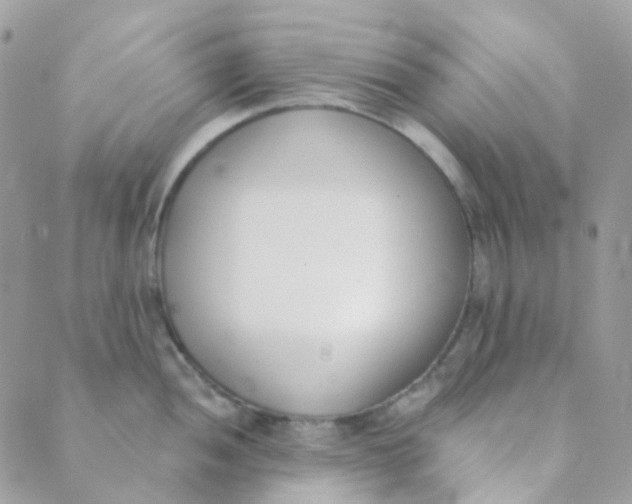 X0000089421052200707061314