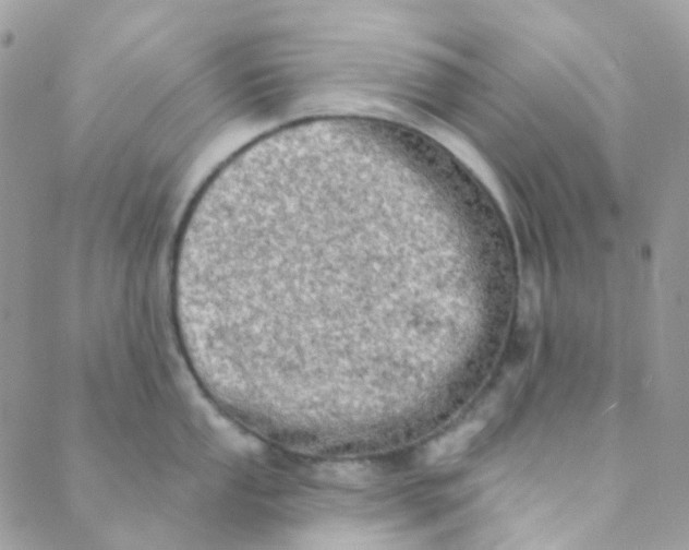 X0000089421053200707061314