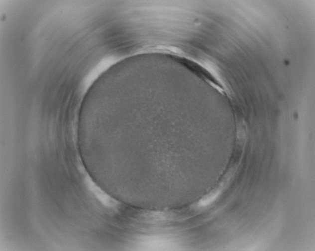 X0000089421054200707061314