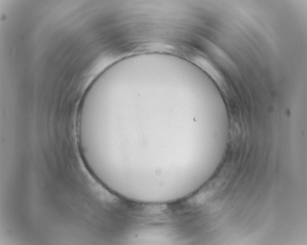 X0000089421055200707061314