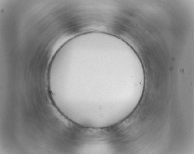 X0000089421056200707061314