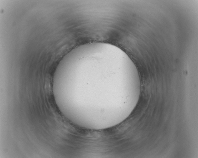 X0000089421058200707061313