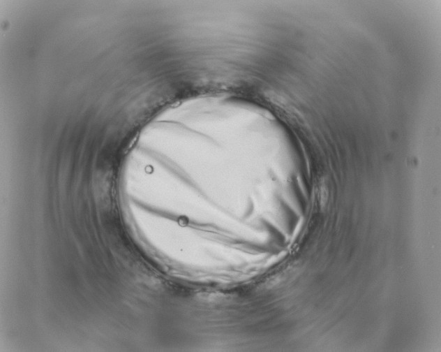 X0000089421059200707061313