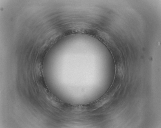 X0000089421060200707061313