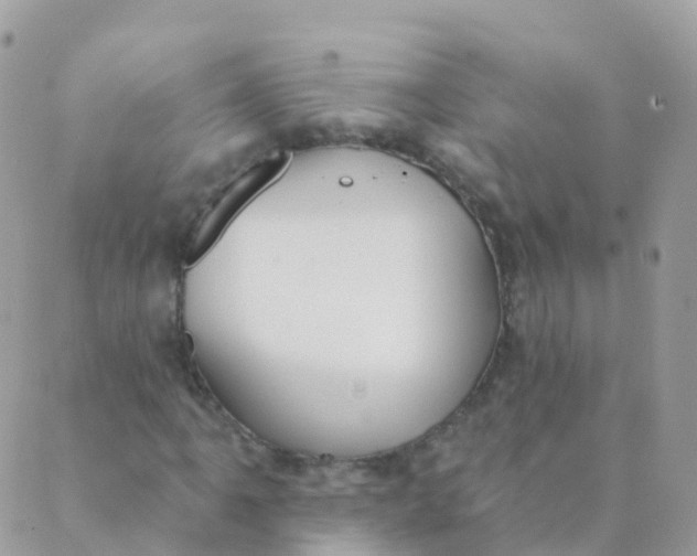 X0000089421061200707061313