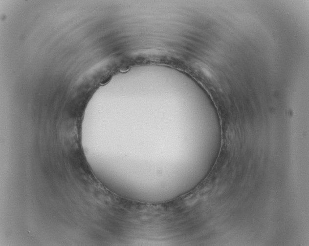 X0000089421062200707061313