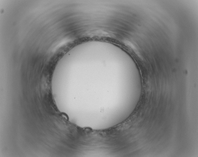 X0000089421063200707061313