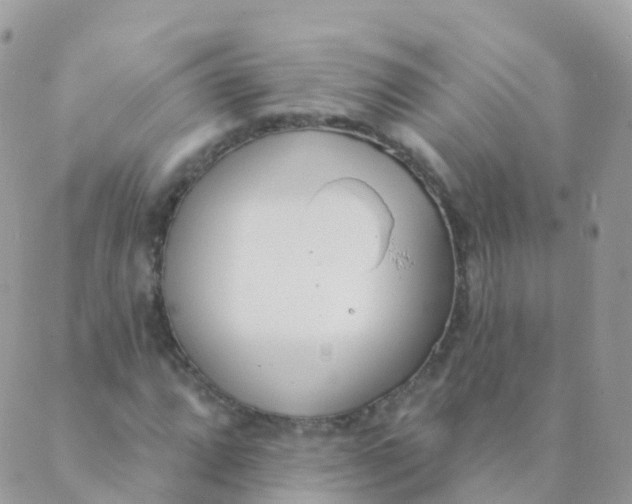 X0000089421064200707061313