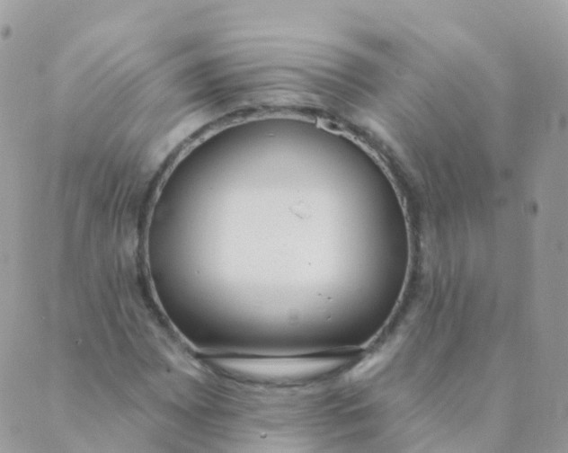 X0000089421065200707061313