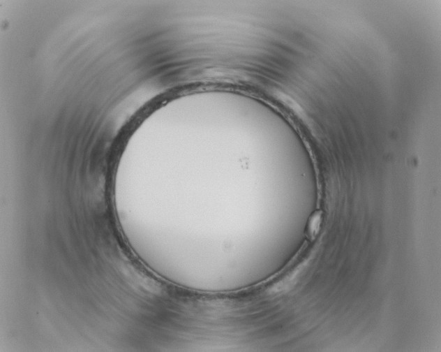 X0000089421066200707061313