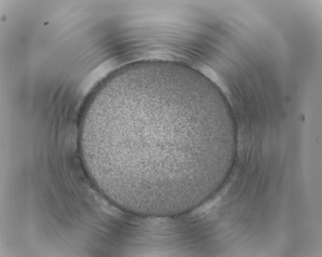 X0000089421067200707061313