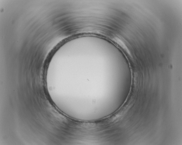 X0000089421068200707061313