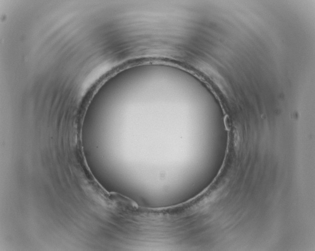 X0000089421069200707061313