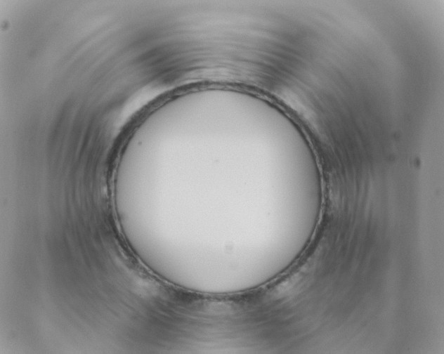 X0000089421070200707061313