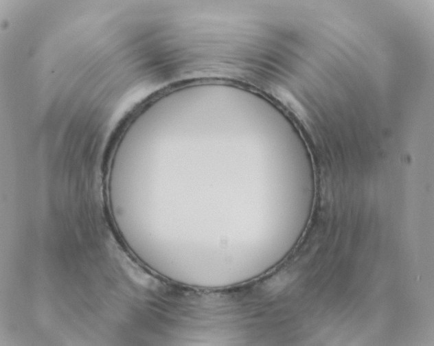 X0000089421072200707061313