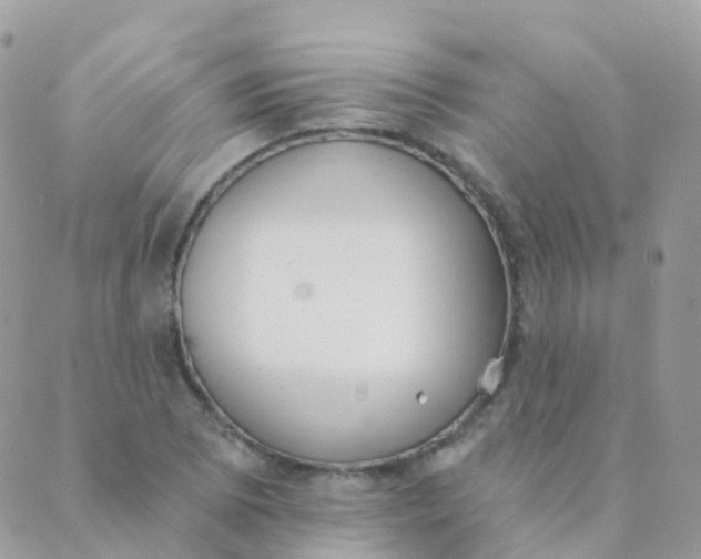 X0000089421073200707061313