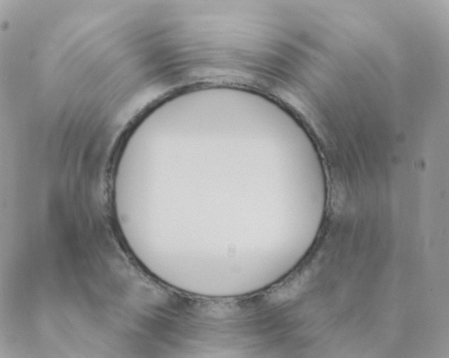 X0000089421074200707061313