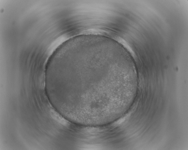 X0000089421075200707061313