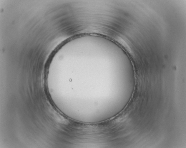 X0000089421076200707061313