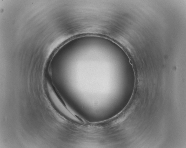 X0000089421077200707061313