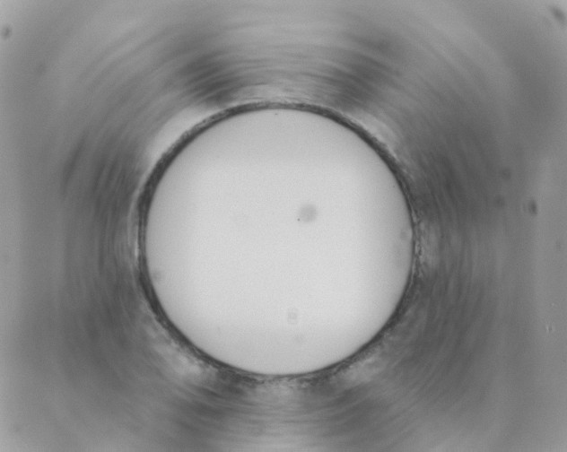 X0000089421078200707061313