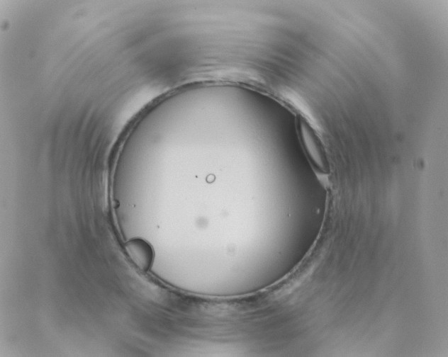 X0000089421079200707061313