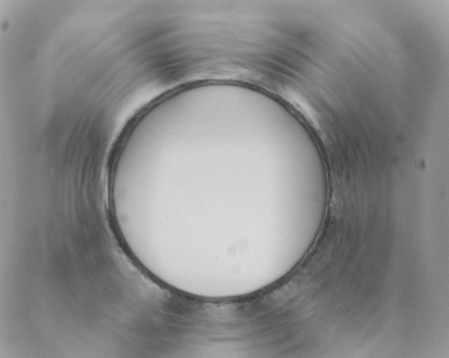 X0000089421080200707061313