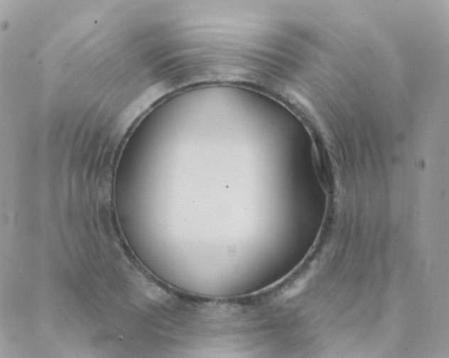 X0000089421081200707061313